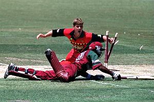 cricket.jpg